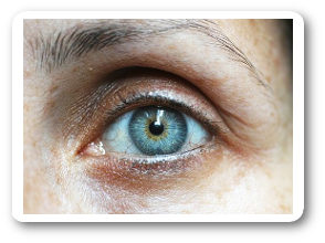 Hier finden Sie Informationen zu Erkrankungen der Augen ...